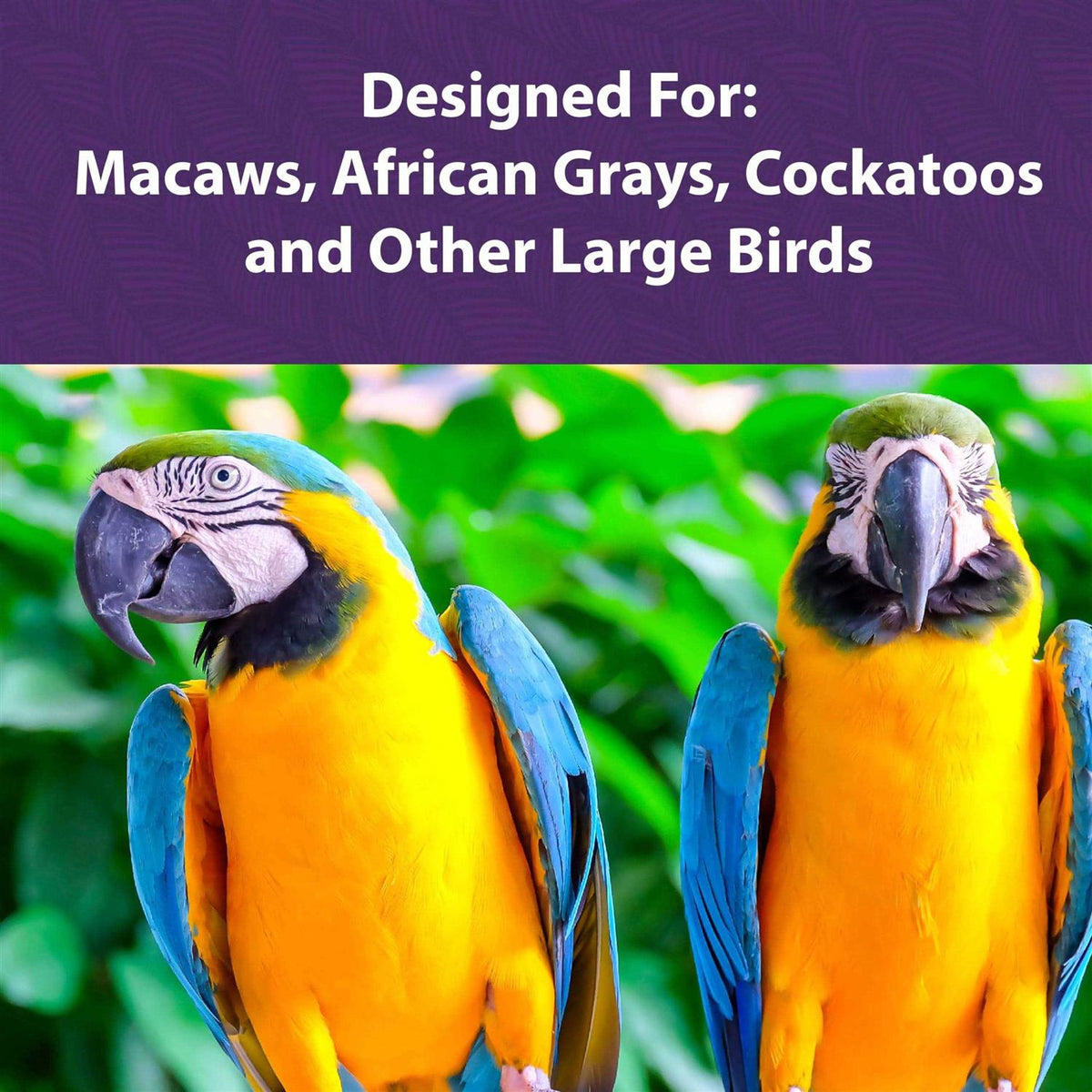 Large Bird Food P5615