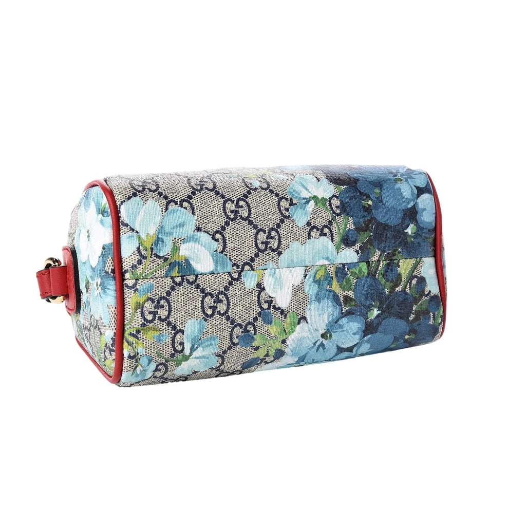 Floral Printed Canvas Mini Crossbody Bag Y67192