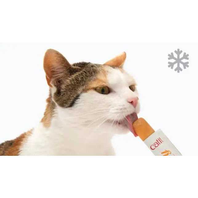Cat Q690