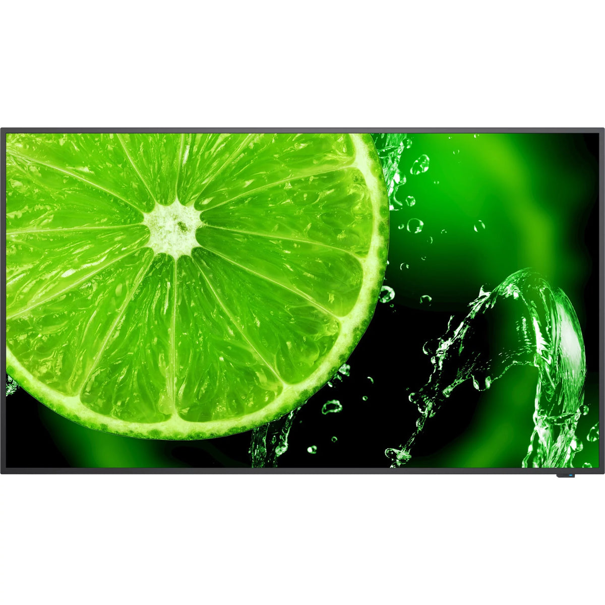 65" 4K UHD Display with Built-in Speaker Y8199