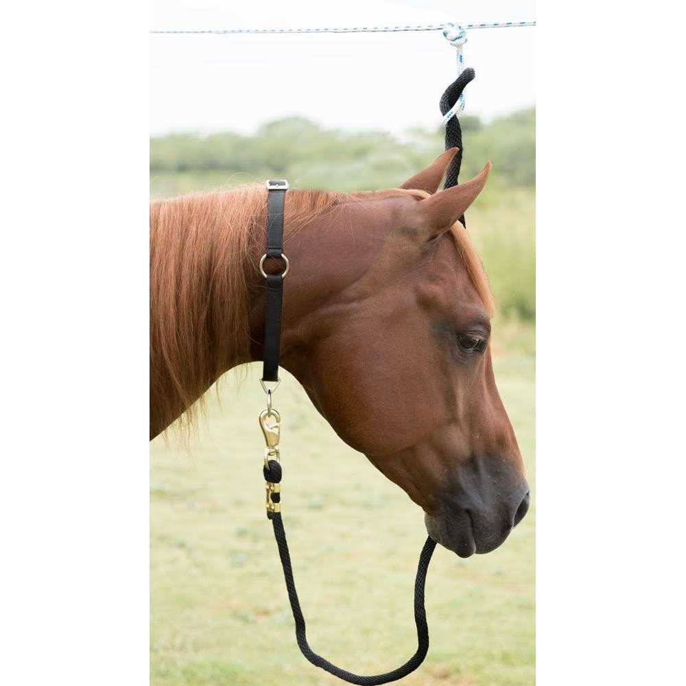 Pet Neck Collar M94831
