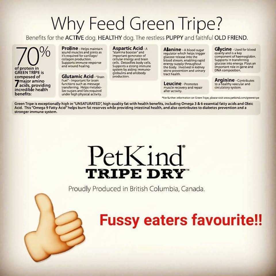 Beef Tripe Formula Dry Dog Food E723388