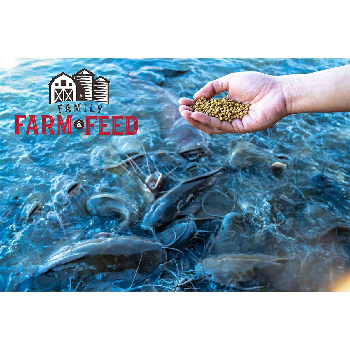 Floating Fish Food T842569