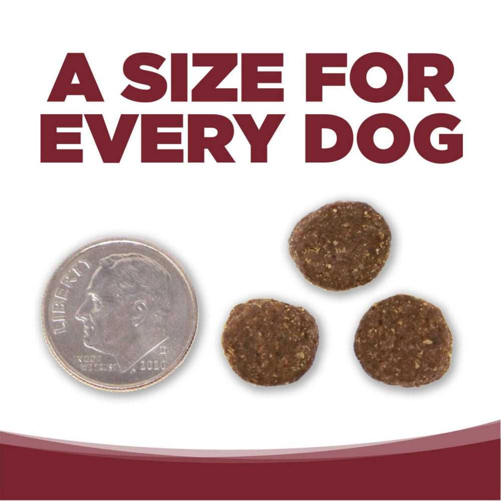 Beef Rice Dry Dog Food V302