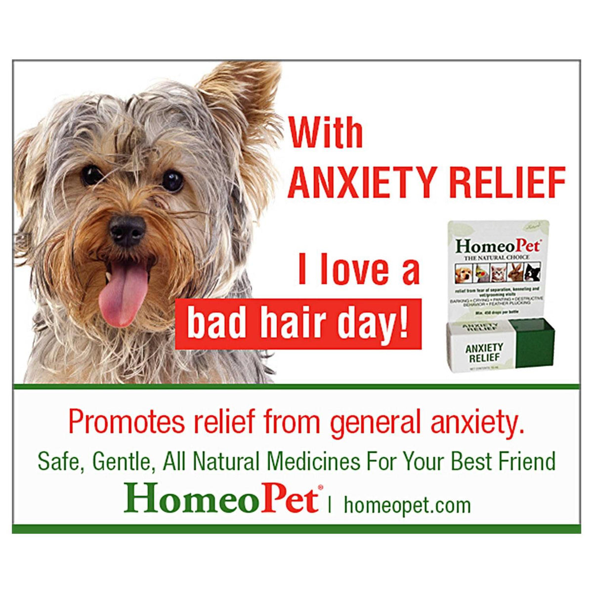 Pet Anxiety Relief E86364