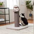 Cat Scratching Post C457