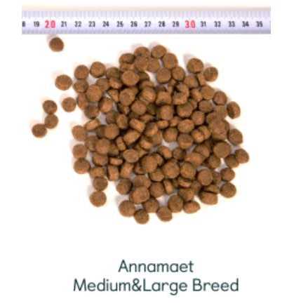 Medium & Large Breed Dry Dog Food G405
