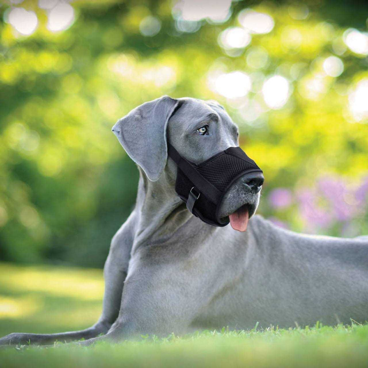 Adjustable Dog Muzzle G3290
