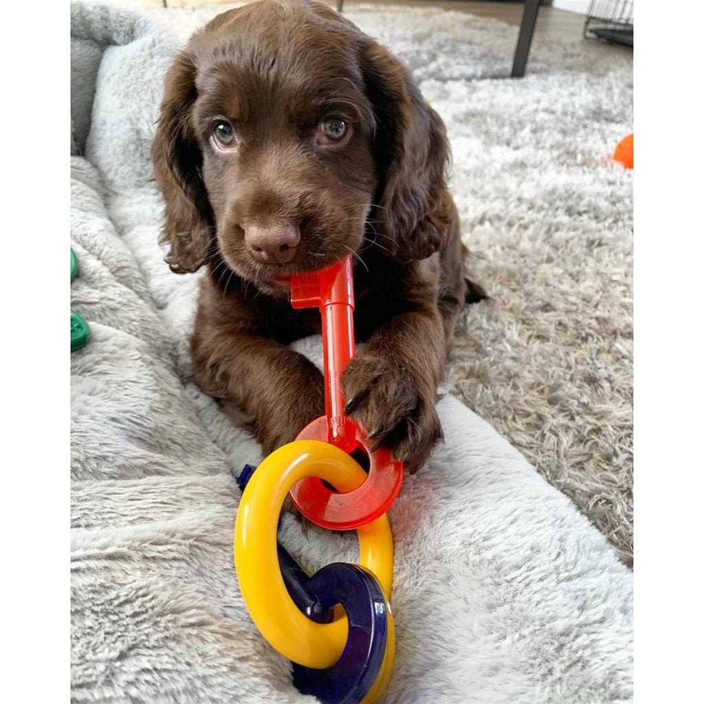 Puppy Chew Teething Keys O248