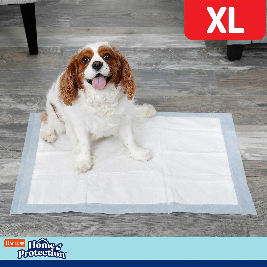 Dog Pads X806