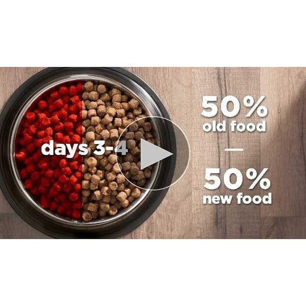 Adult Cat Food T998