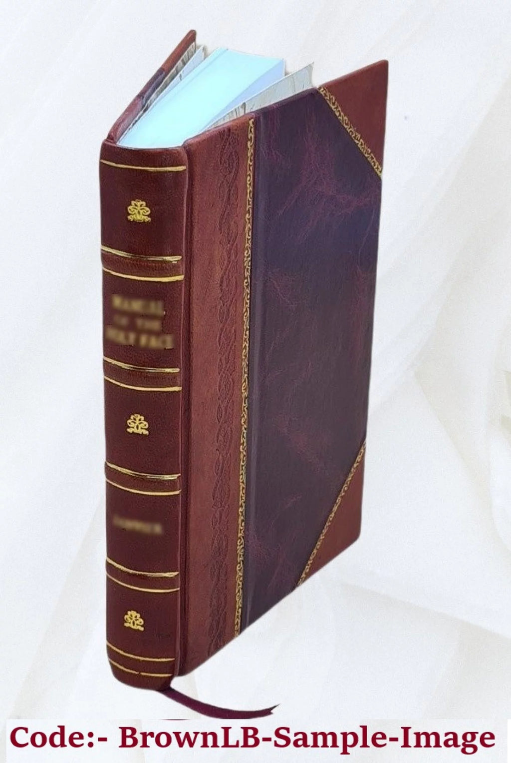 Vita Christi Cartuxano Leather Bound Q254