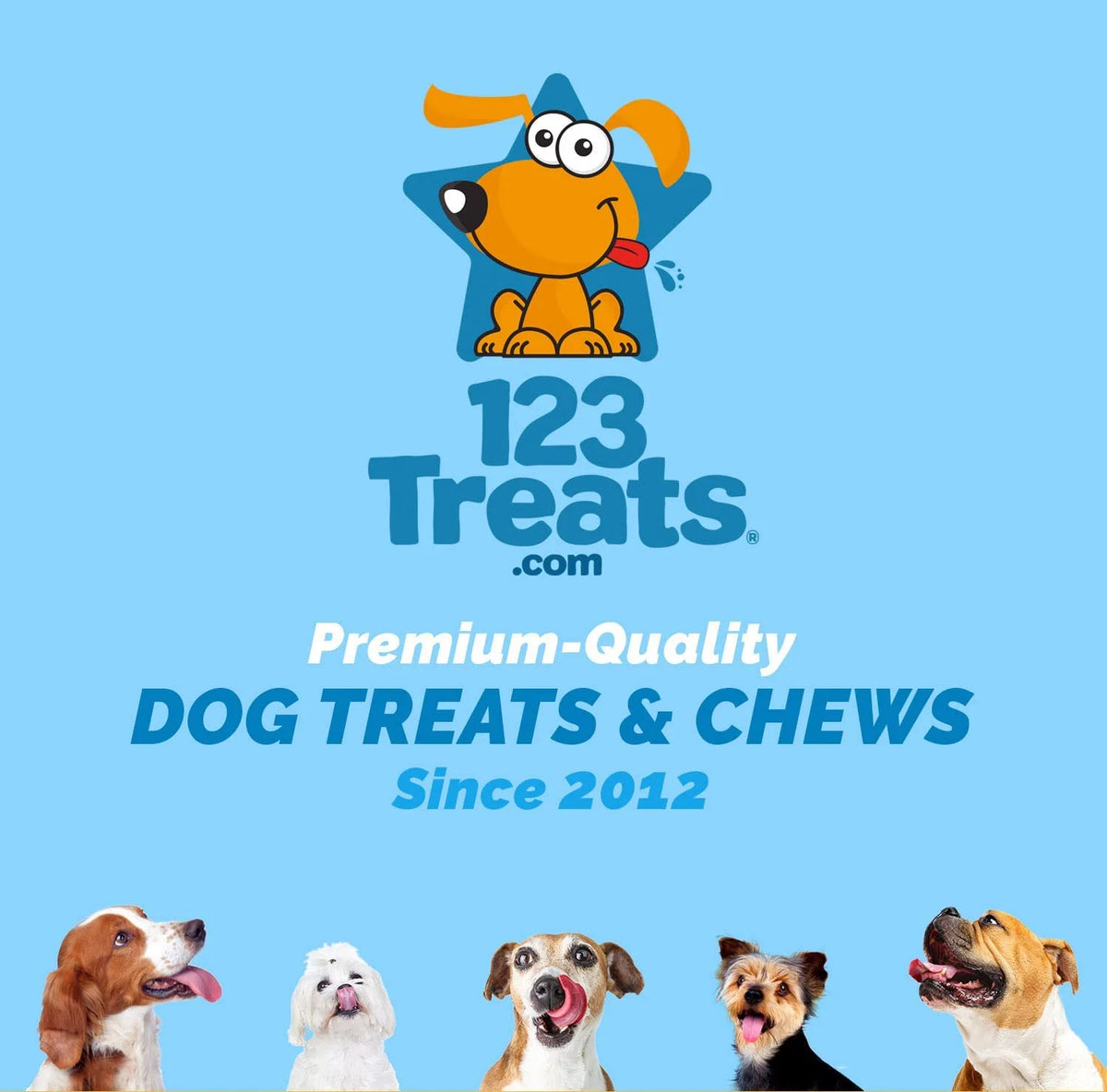 All Natural Beef Knee Caps Dog Chews 10 Count J4328