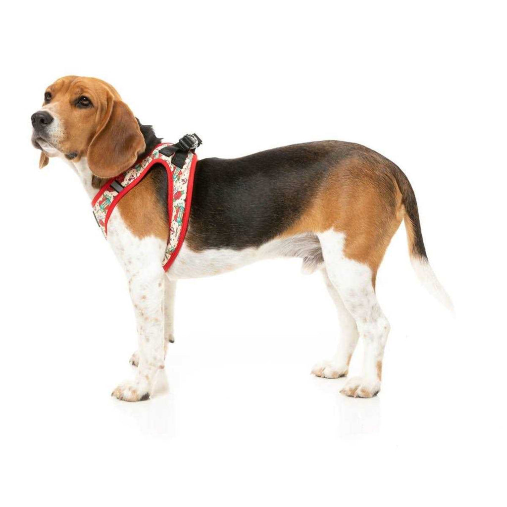 Step Harness Z291624