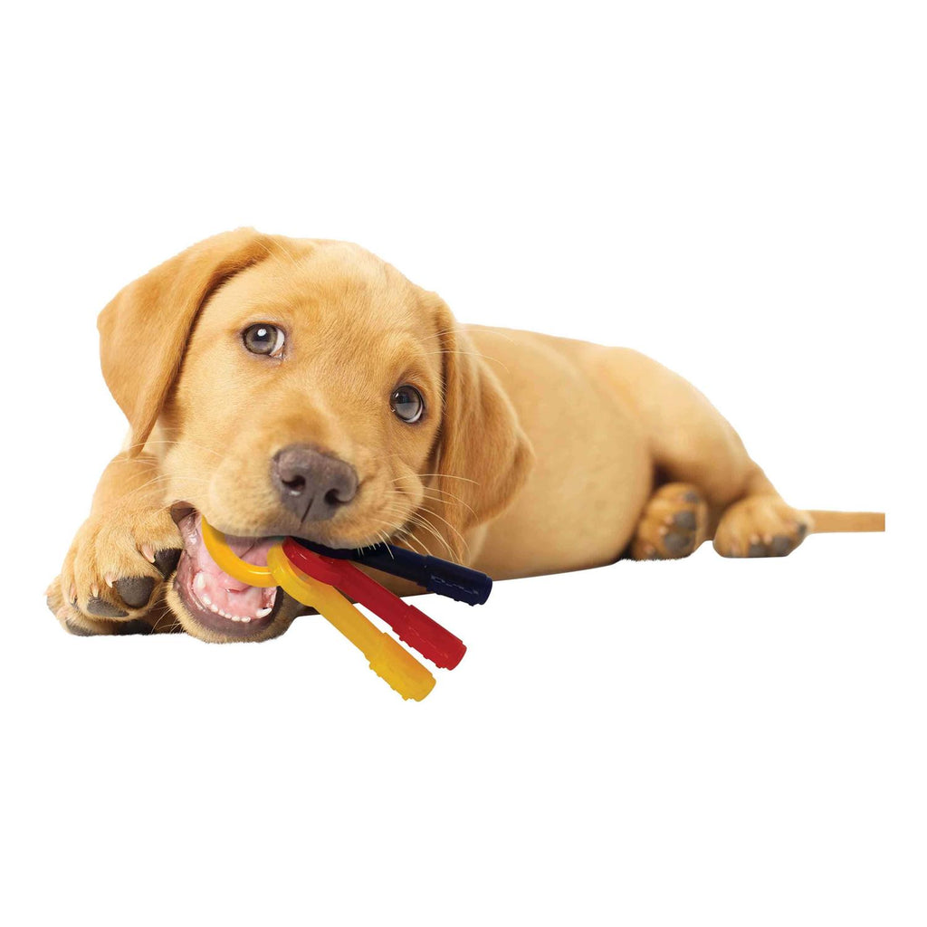 Puppy Chew Teething Keys O248