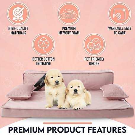 Modern Pet Sofa Bed Q665