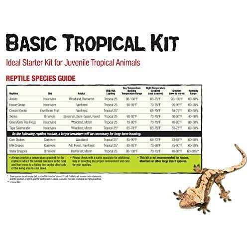 Desert Reptile Starter Kit with Light and Heat X888