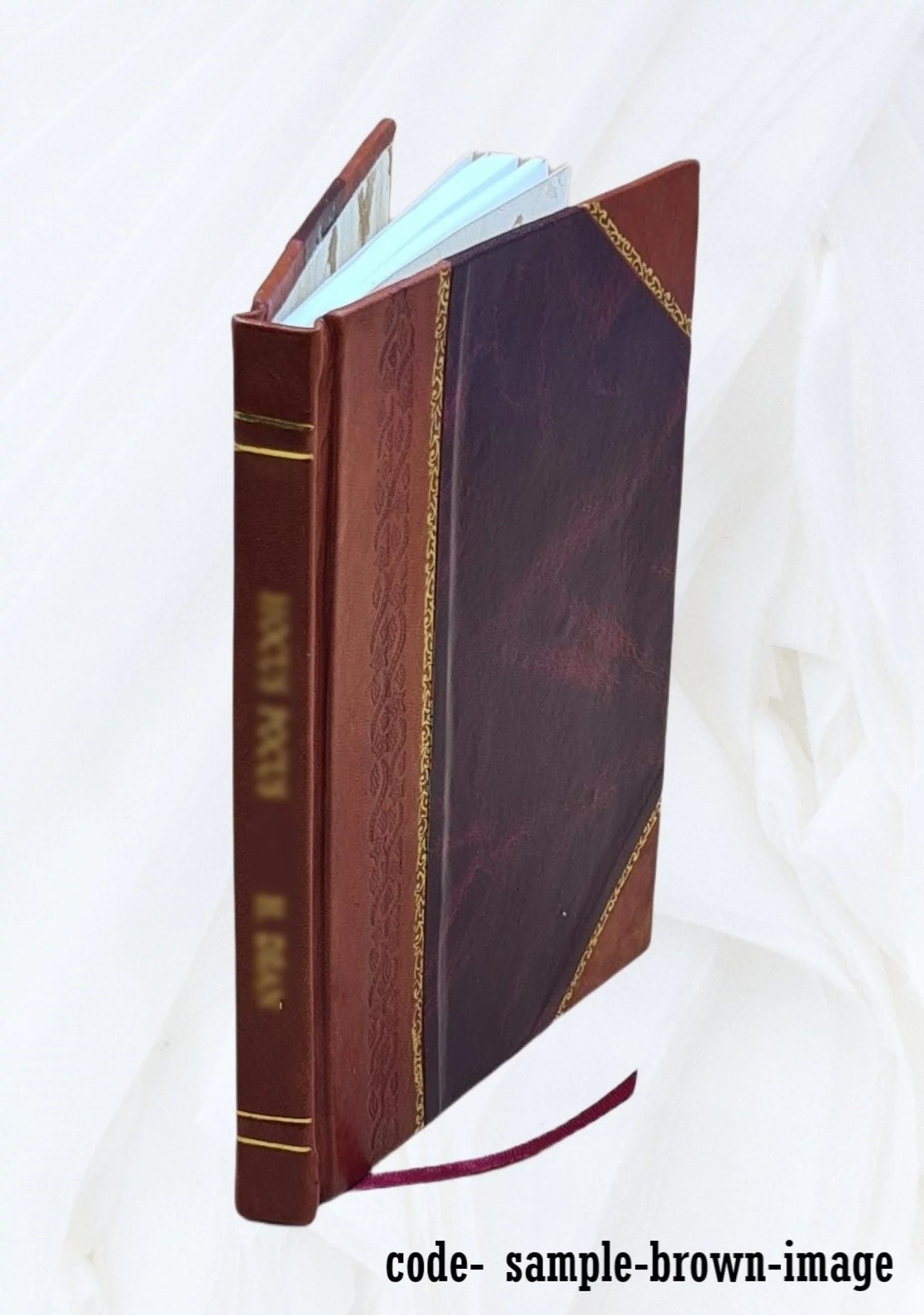 Radio and electronic dictionary Leather Bound X786458