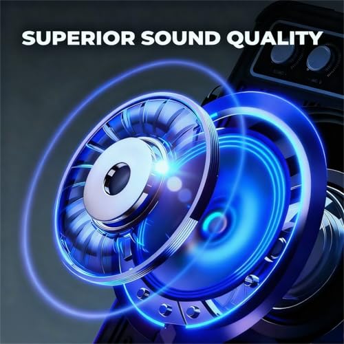 Portable Bluetooth Karaoke Speaker with 2 Wireless Microphones P1108