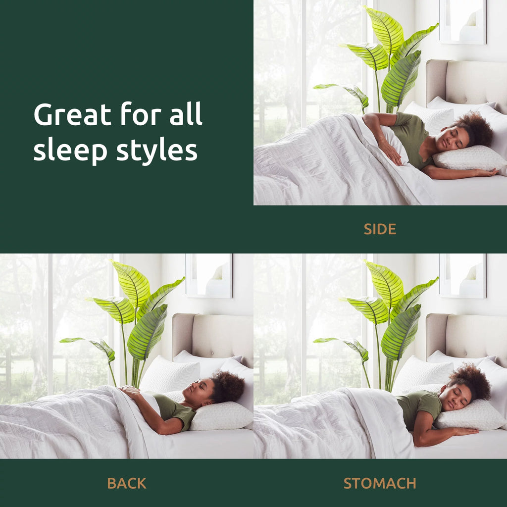 King 2 Pack Shredded Foam Bed Pillow Q537