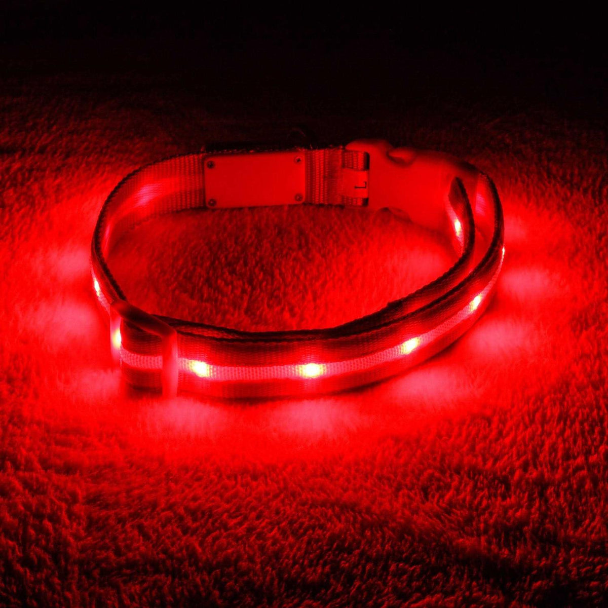 LED Light Up Dog Collar R5194