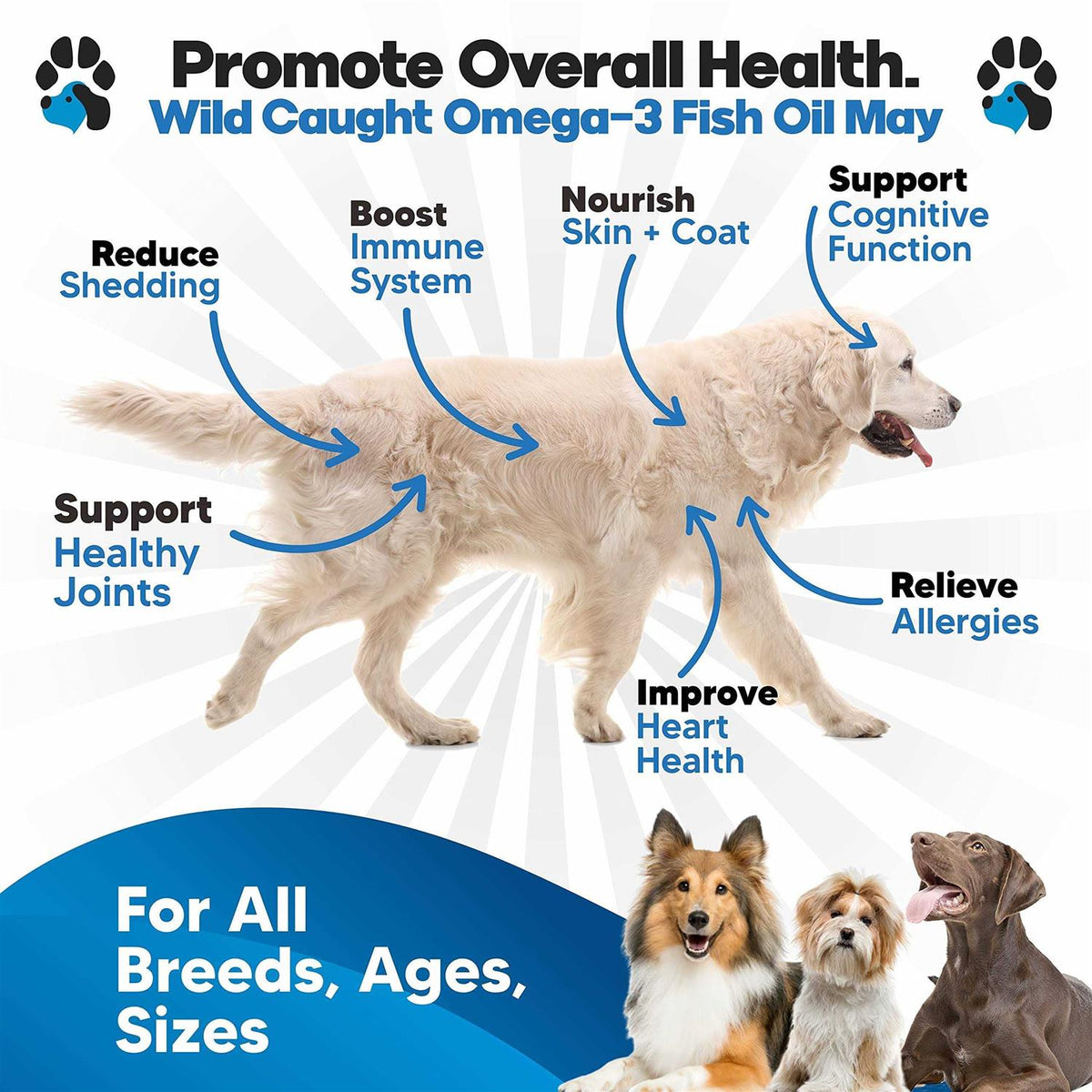 Omega 3 Fish Oil for Dogs O985757