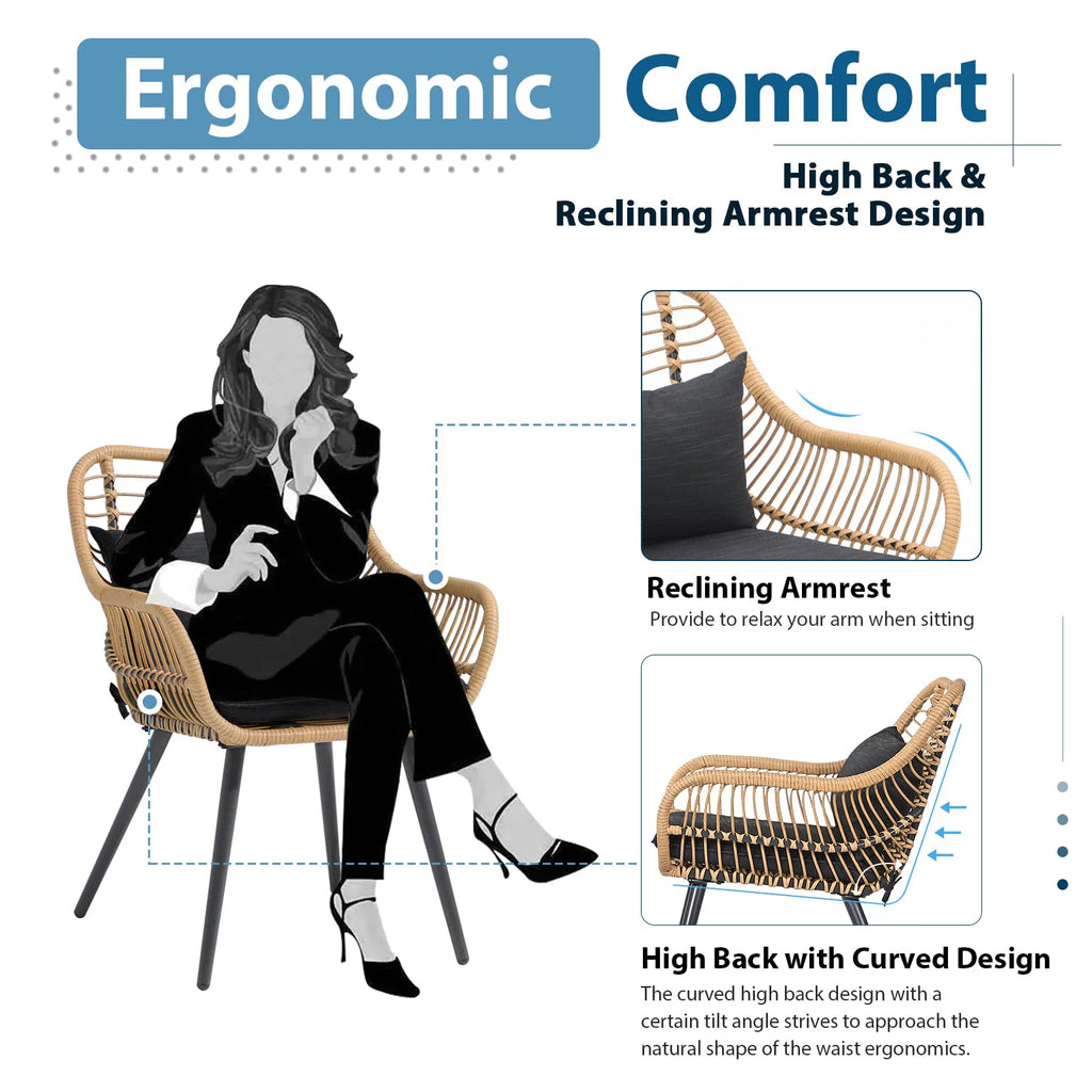 Black Wicker Patio Dining Chairs Set of 2 with Cushions W46314