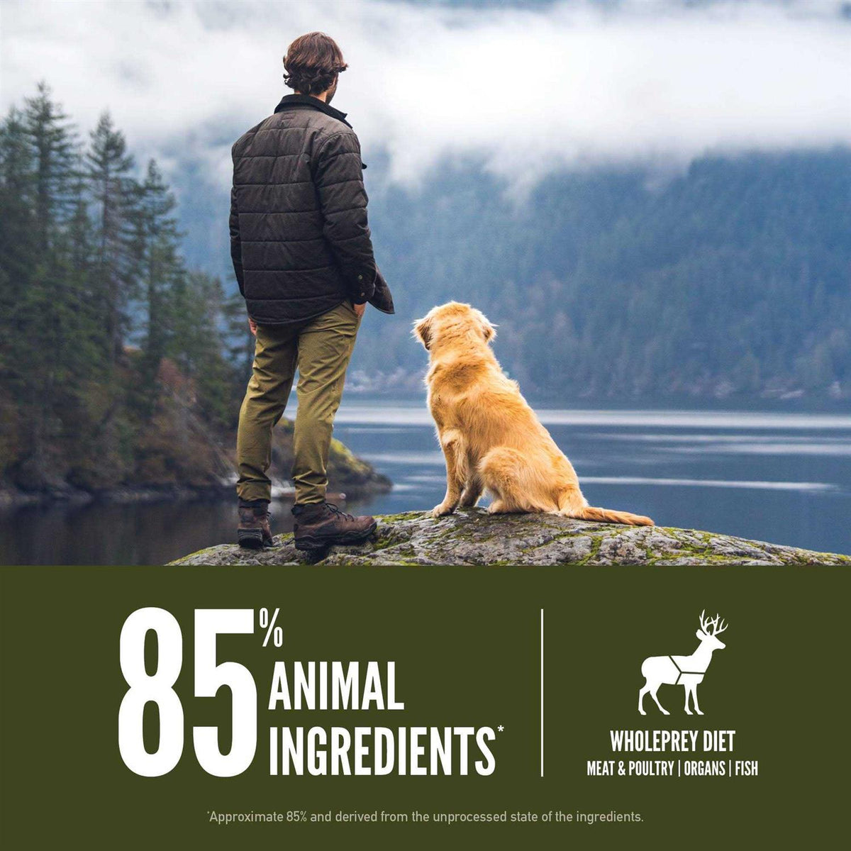 Dry Dog Food T194430
