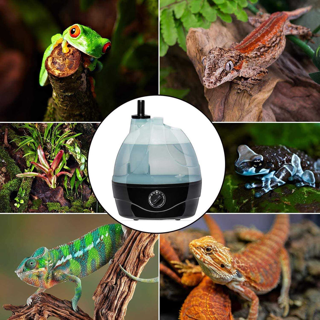 Reptile Humidifier Fogger 3L Tank Y912