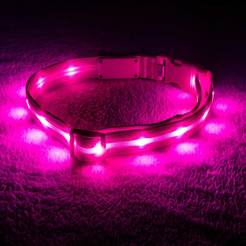 LED Light Up Dog Collar R5194