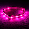 LED Light Up Dog Collar R5194