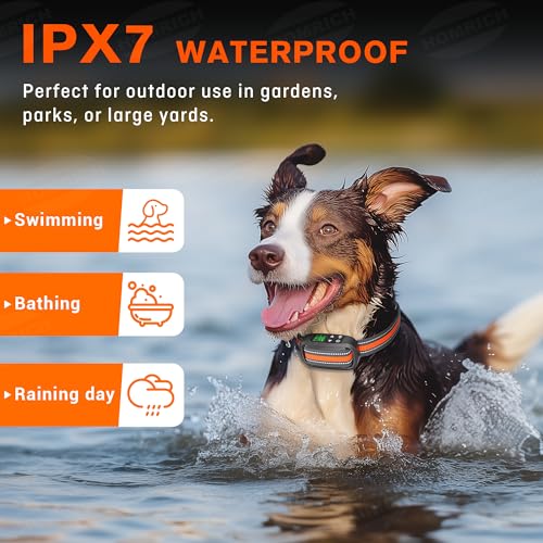 2 in 1 GPS Wireless Dog Fence and Training Collar N43387