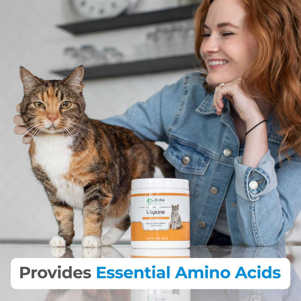 Cat Lysine Supplement N1762