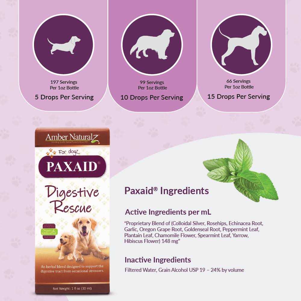 Paxaid Digestive & Immune Support Pet Supplies U82032