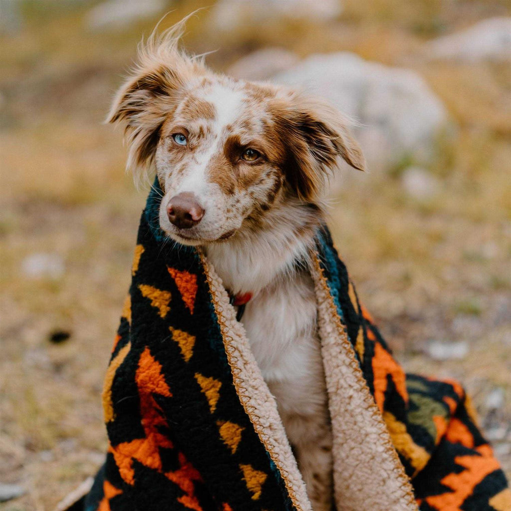 Sherpa Fleece Waterproof Blanket F779567