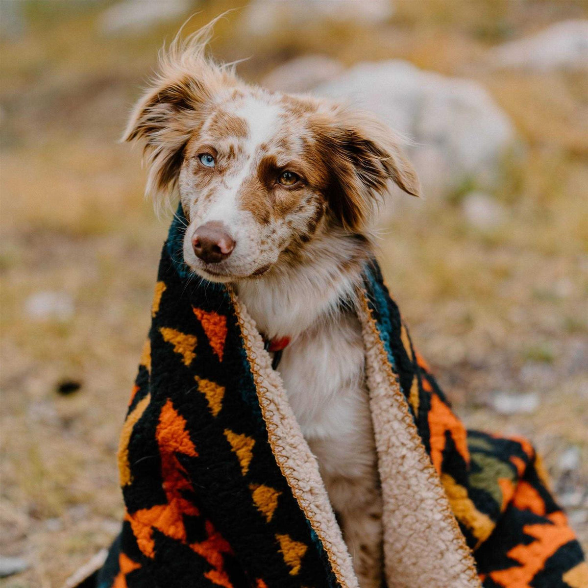 Sherpa Fleece Waterproof Blanket F779567