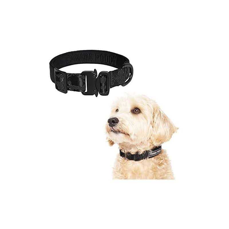 Utility Dog Collar F700669