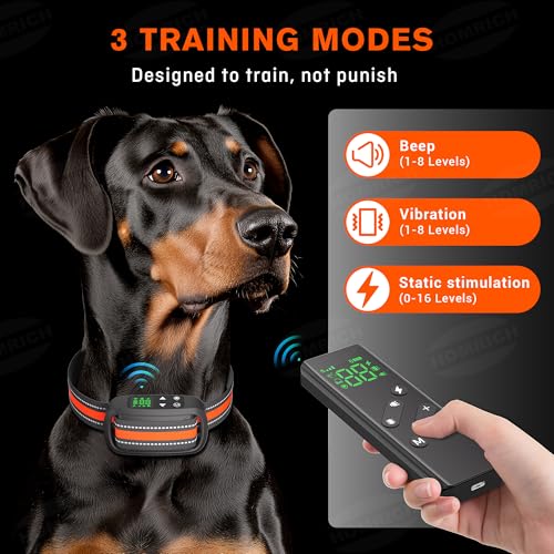 2 in 1 GPS Wireless Dog Fence and Training Collar N43387
