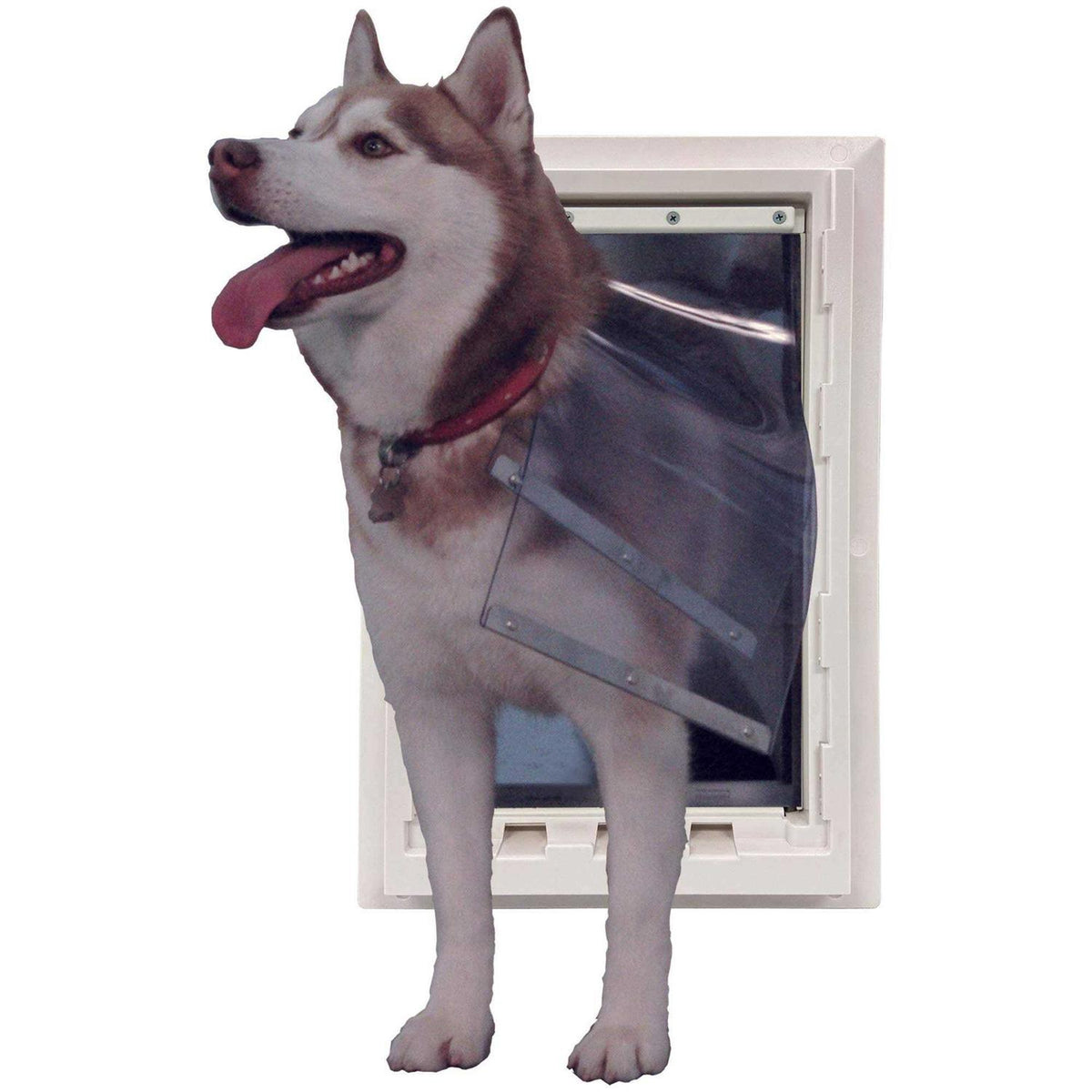 Wall Entry Pet Door with Telescoping Tunnel and Lock-Out Slide B46018