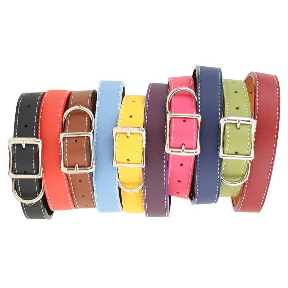 Leather Dog Collar Z512470