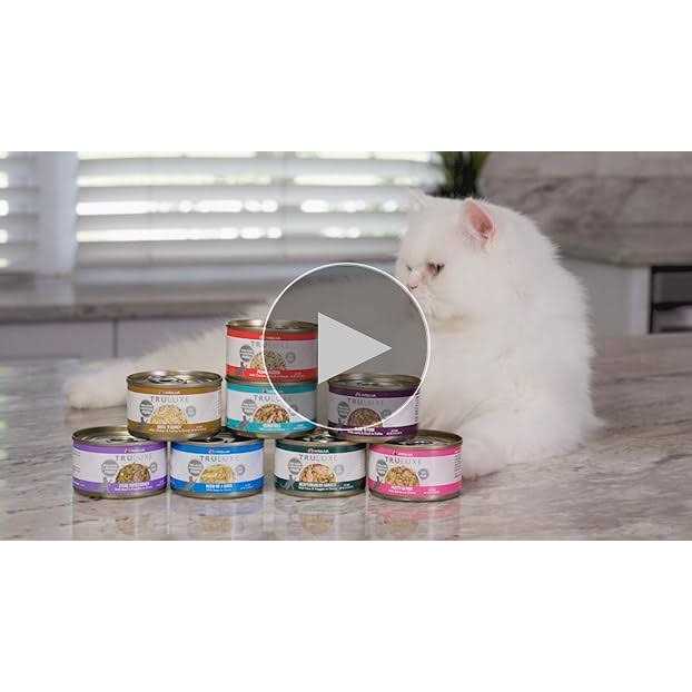 Beef & Pumpkin Canned Cat Food D174