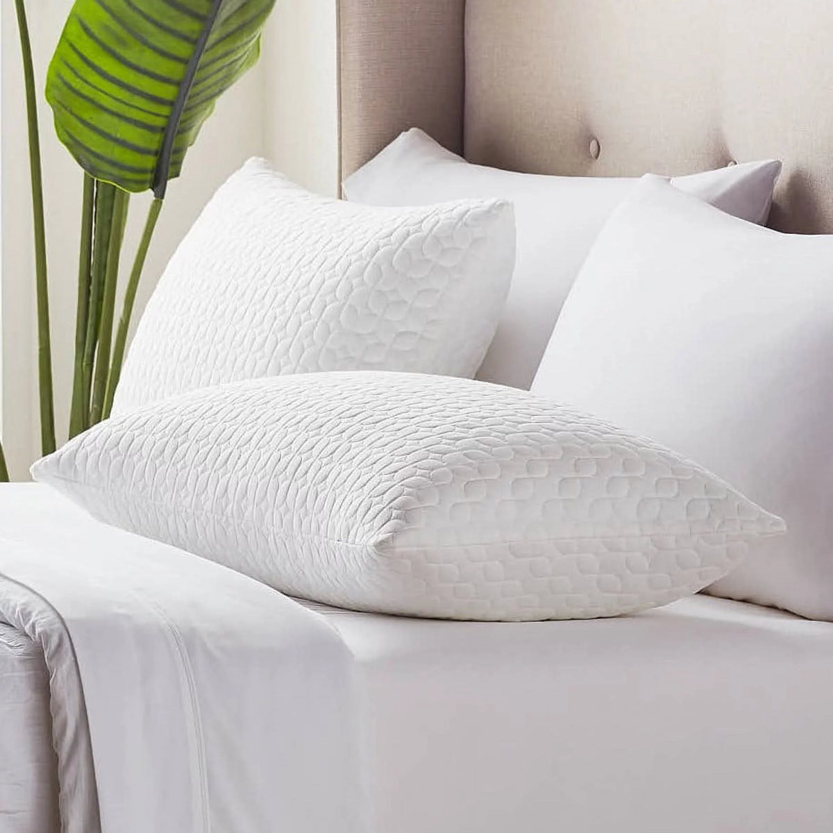 King 2 Pack Shredded Foam Bed Pillow Q537