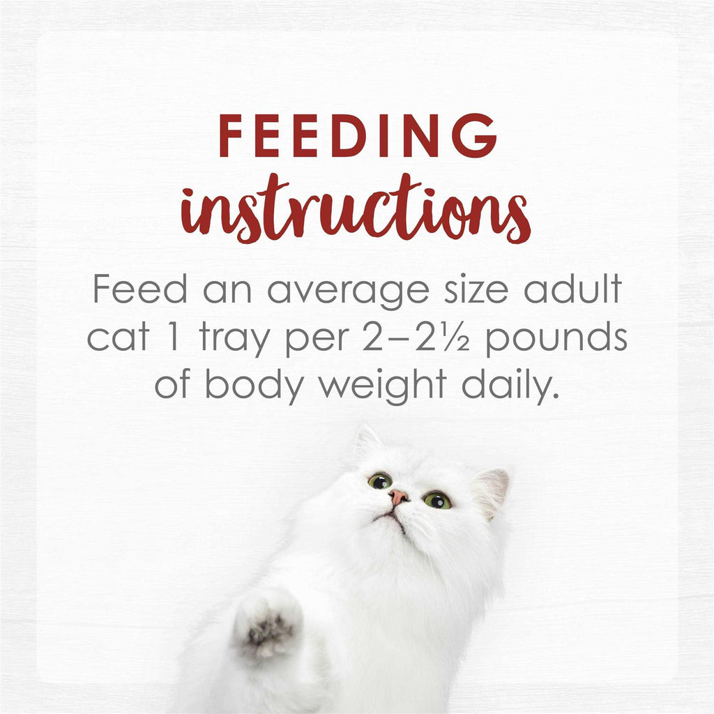Cat Food E464