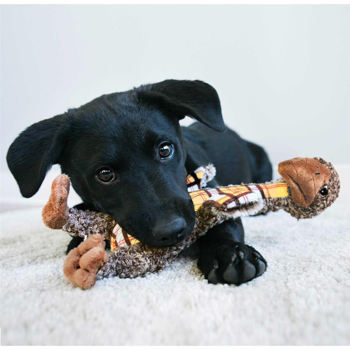 Elephant Dog Toy D294974