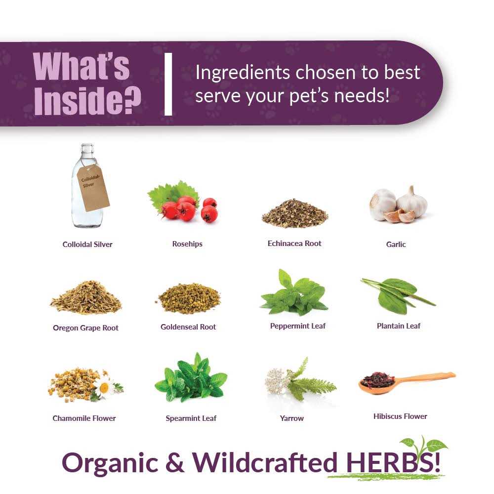 Paxaid Digestive & Immune Support Pet Supplies U82032