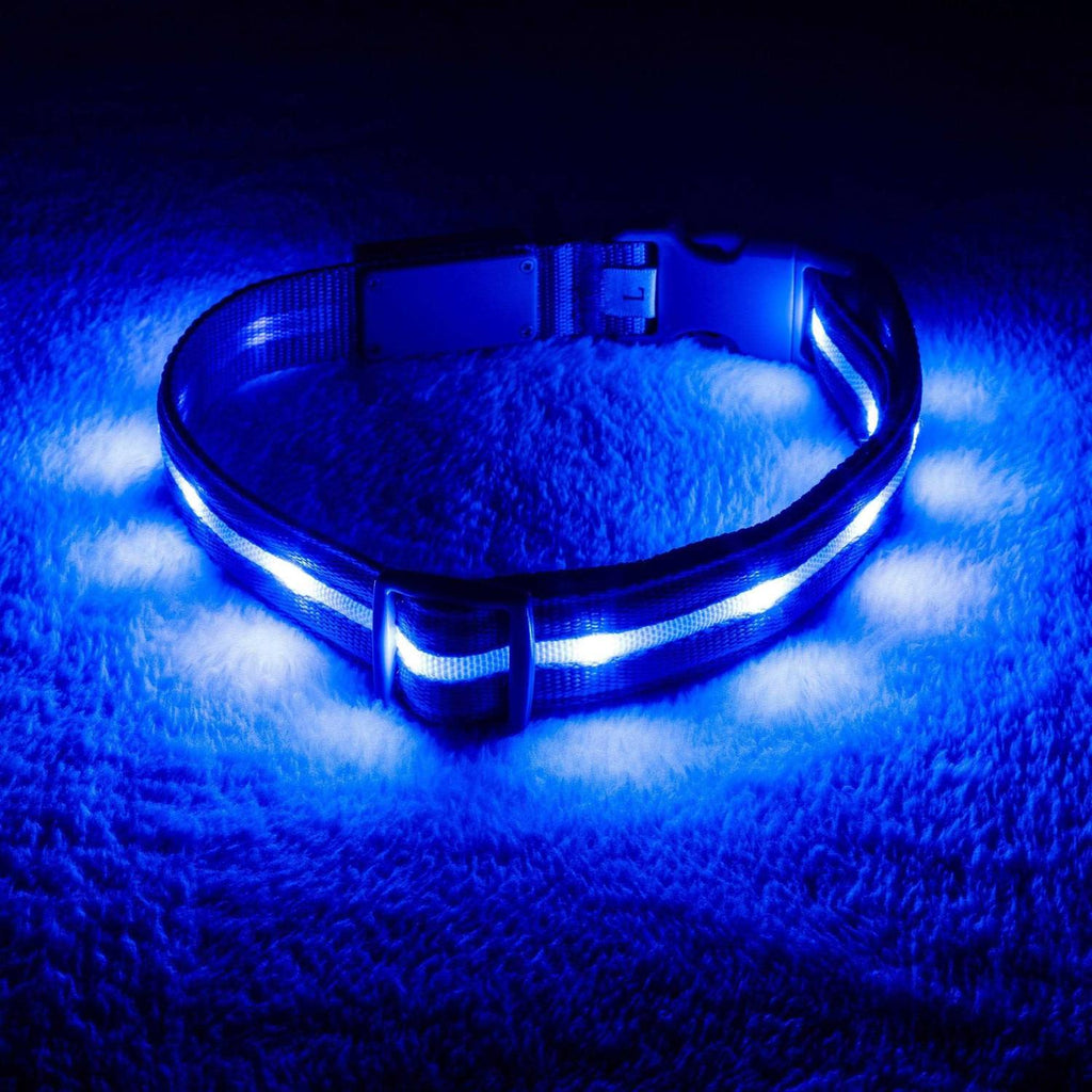 LED Light Up Dog Collar R5194
