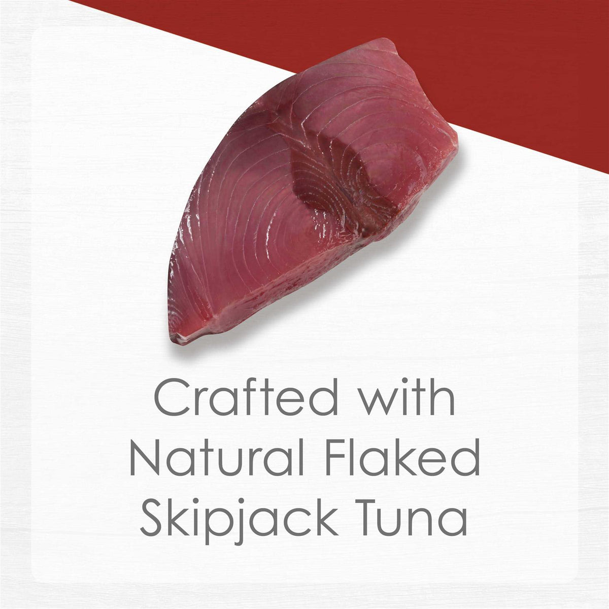 Cat Food E464