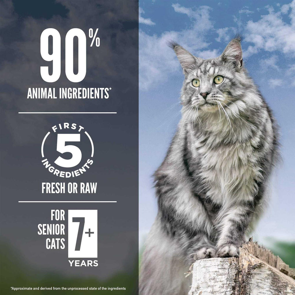 Grain Free Dry Cat Food R162