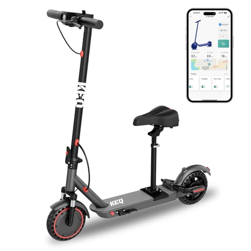 Electric Scooter with Dual Brake and Suspension G523660