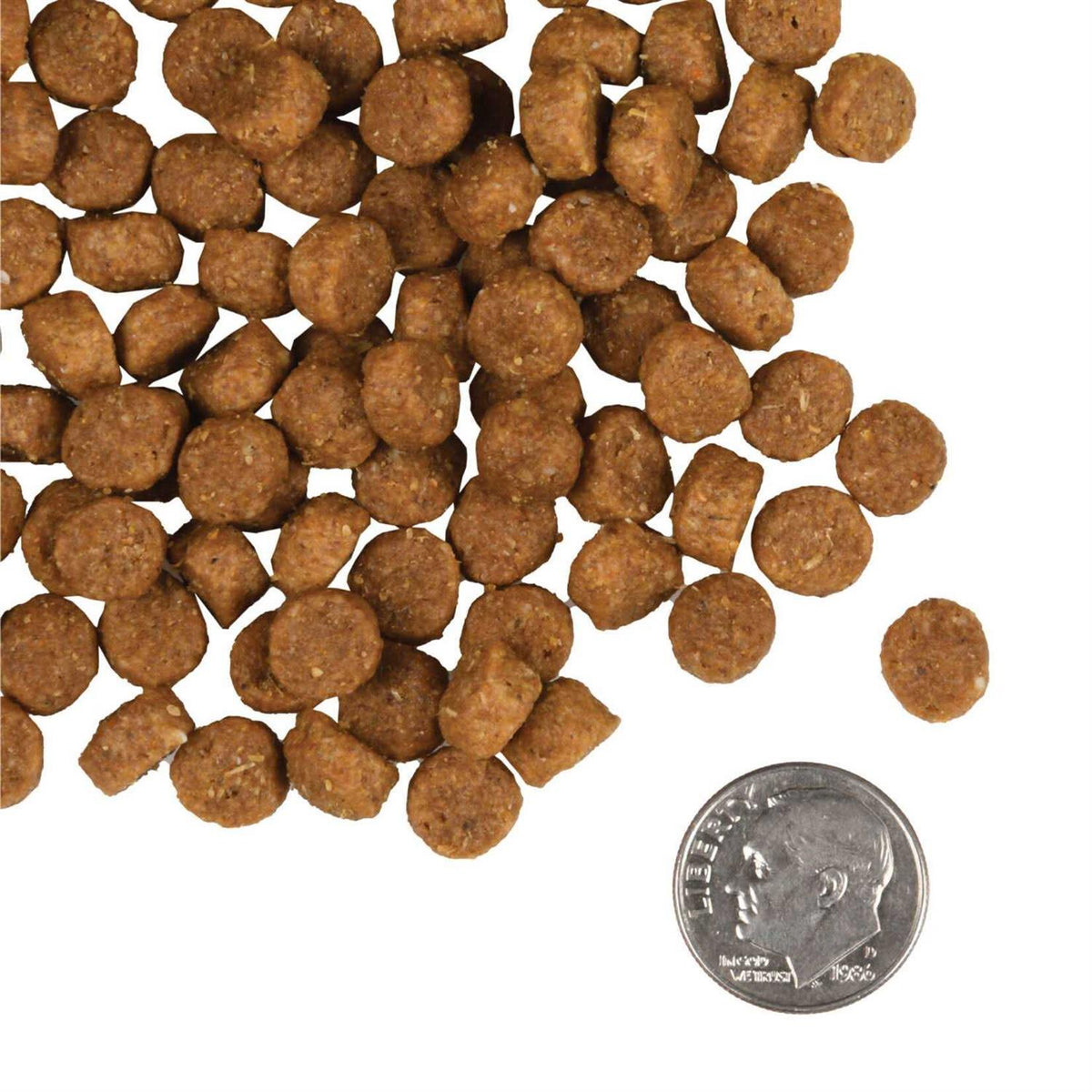 Dog Food C1554